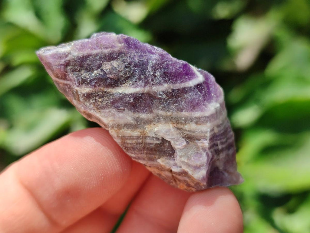 Natural Chevron Amethyst Dogtooth Crystals x 3kg Lot From Zambia