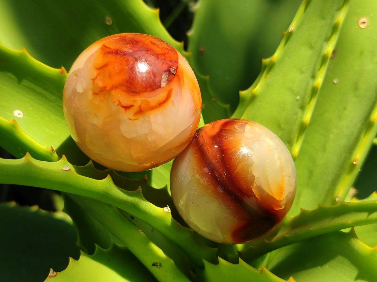 Polished Carnelian Agate Gemstone Spheres x 12 From Madagascar - Toprock Gemstones and Minerals 