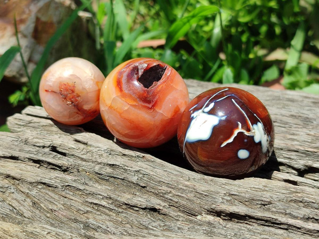 Polished Carnelian Agate Gemstone Spheres x 12 From Madagascar - Toprock Gemstones and Minerals 