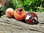 Polished Carnelian Agate Gemstone Spheres x 12 From Madagascar - Toprock Gemstones and Minerals 