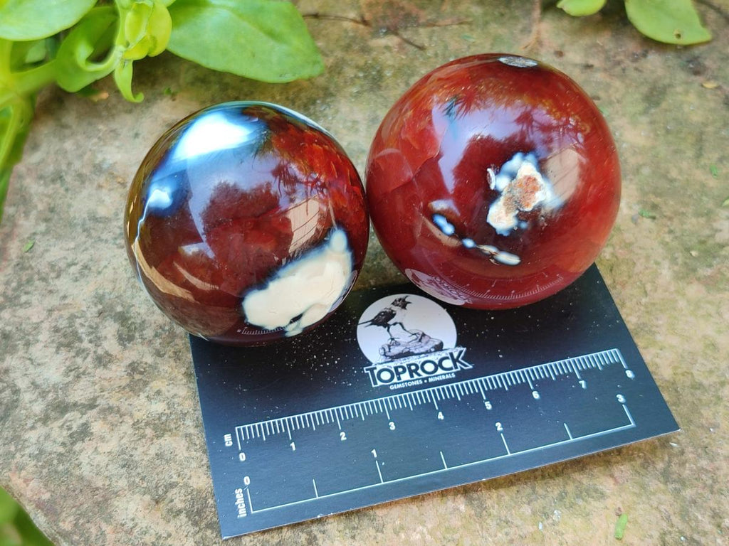 Polished Carnelian Agate Gemstone Spheres x 12 From Madagascar - Toprock Gemstones and Minerals 