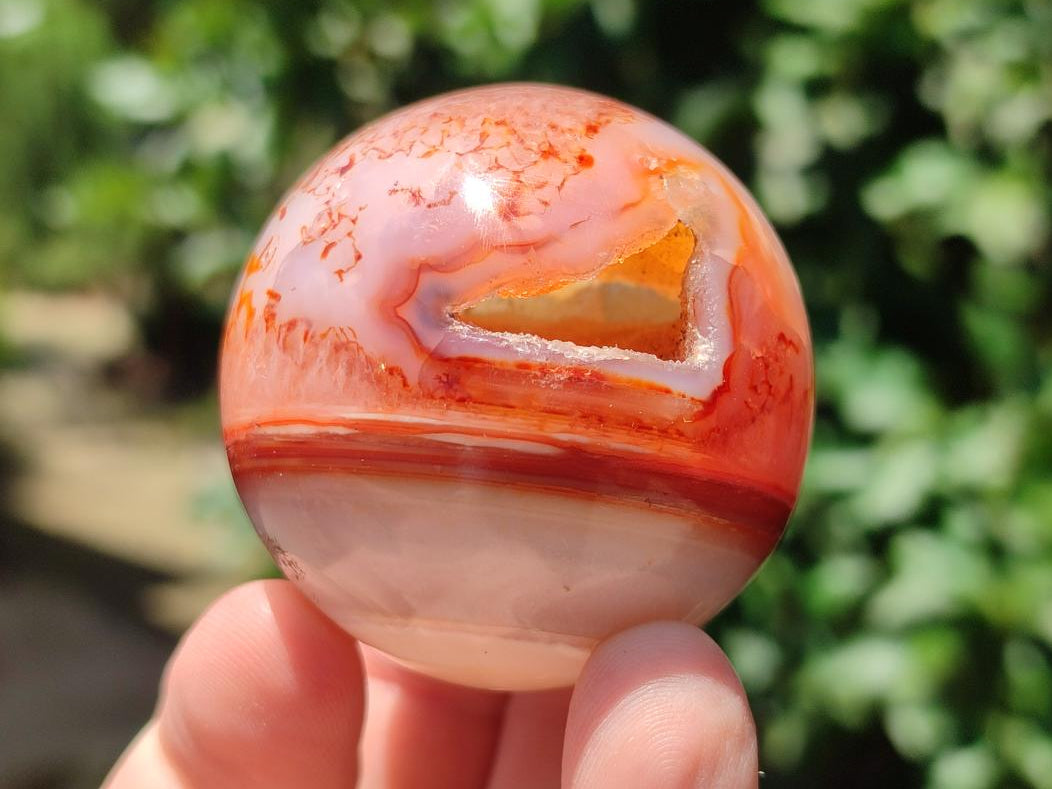 Polished Carnelian Agate Gemstone Spheres x 12 From Madagascar