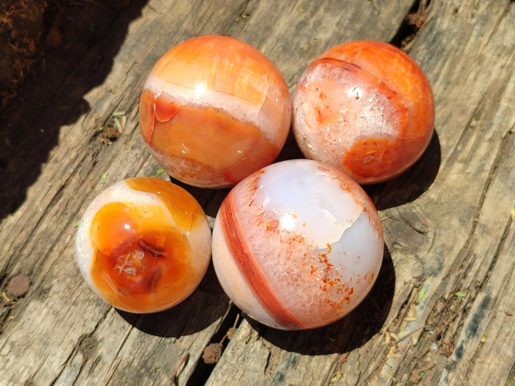 Polished Carnelian Agate Gemstone Spheres x 12 From Madagascar - Toprock Gemstones and Minerals 