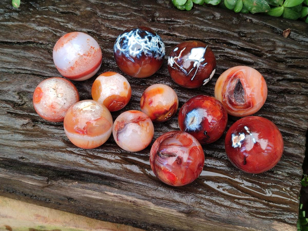 Polished Carnelian Agate Gemstone Spheres x 12 From Madagascar - Toprock Gemstones and Minerals 