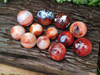 Polished Carnelian Agate Gemstone Spheres x 12 From Madagascar - Toprock Gemstones and Minerals 