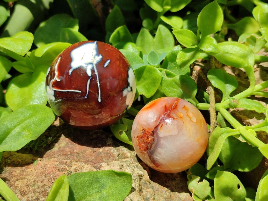 Polished Carnelian Agate Gemstone Spheres x 12 From Madagascar - Toprock Gemstones and Minerals 