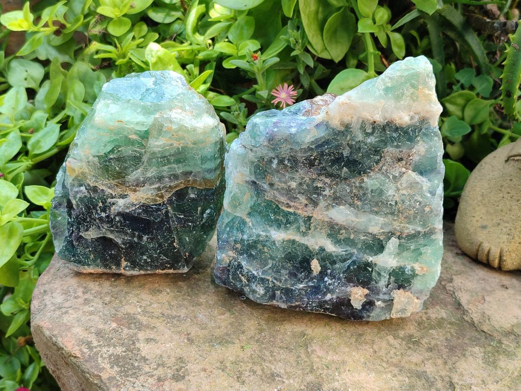 Natural Watermelon Fluorite Cobbed Specimens x 2 From Uis, Namibia