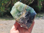 Natural Watermelon Fluorite Cobbed Specimens x 2 From Uis, Namibia