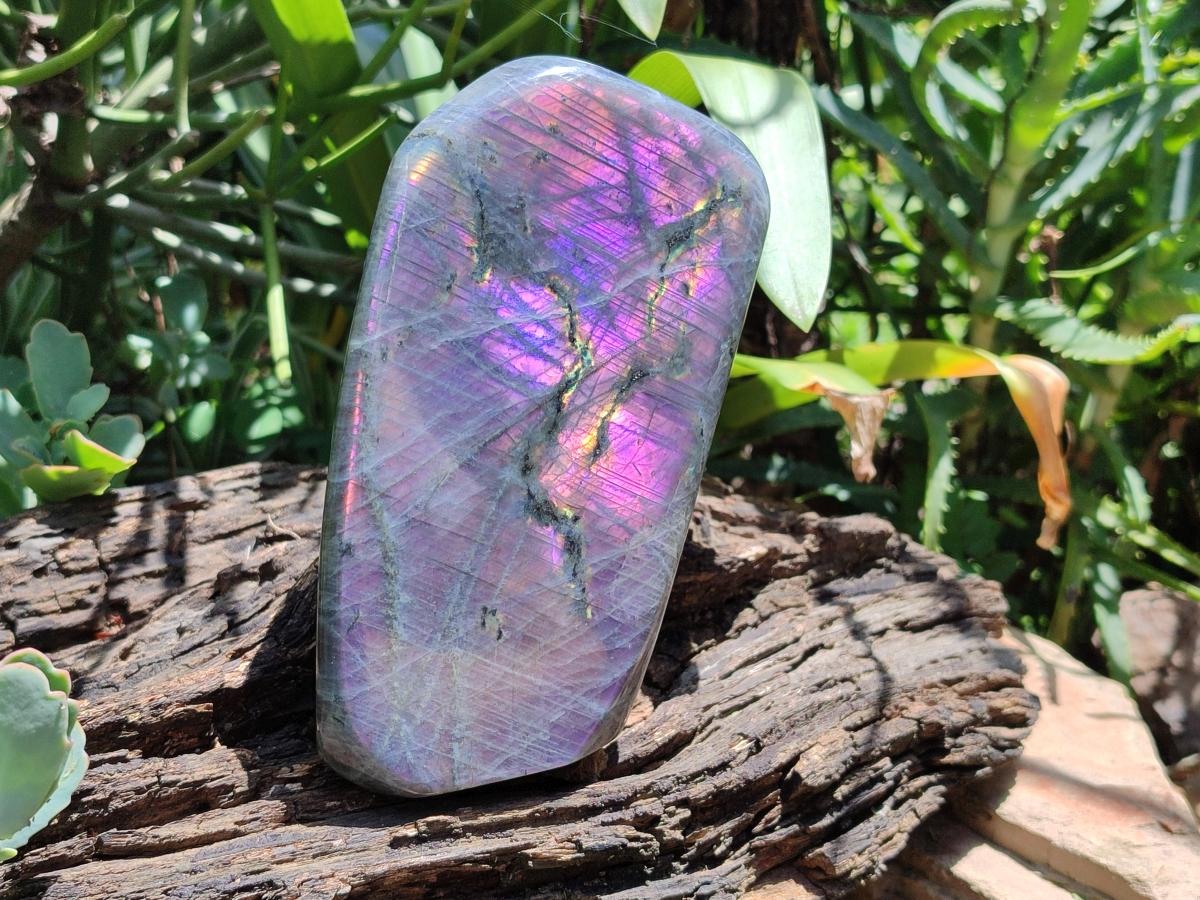 Polished Large Rare Purple Sunset Flash Labradorite Standing Free Form x 1 From Madagascar