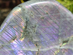 Polished Large Rare Purple Sunset Flash Labradorite Standing Free Form x 1 From Madagascar
