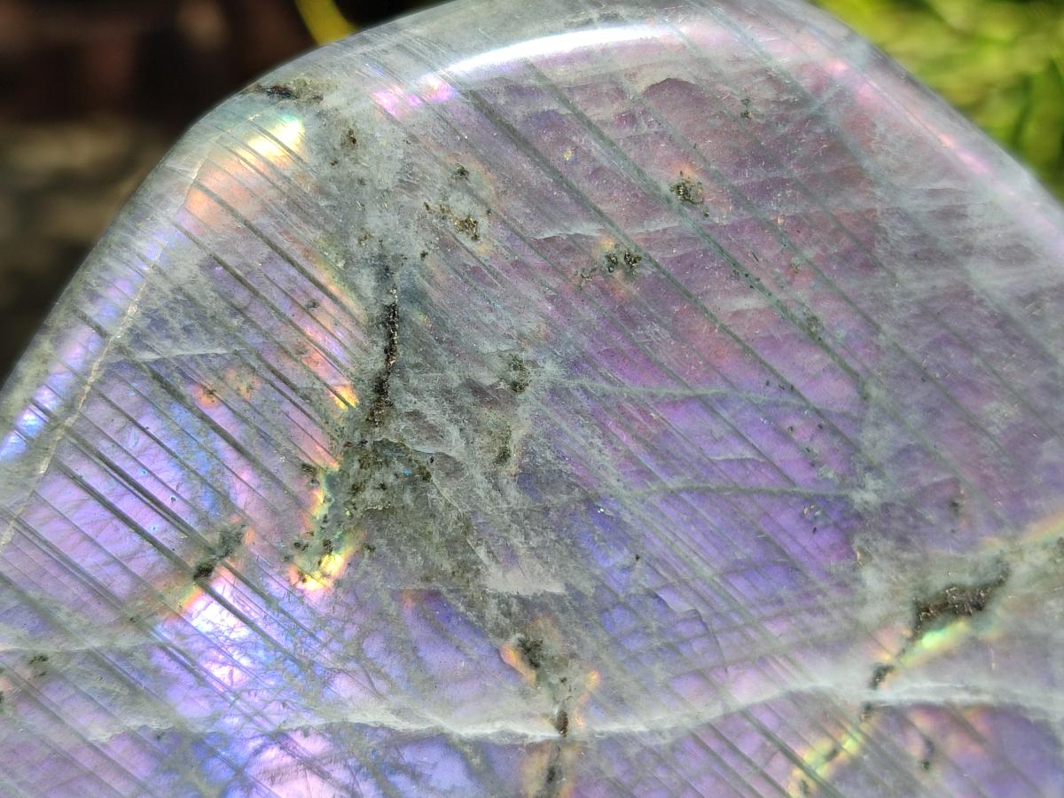 Polished Large Rare Purple Sunset Flash Labradorite Standing Free Form x 1 From Madagascar