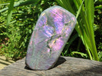 Polished Large Rare Purple Sunset Flash Labradorite Standing Free Form x 1 From Madagascar