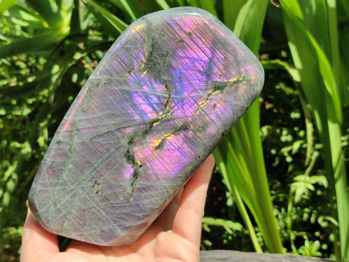 Polished Large Rare Purple Sunset Flash Labradorite Standing Free Form x 1 From Madagascar