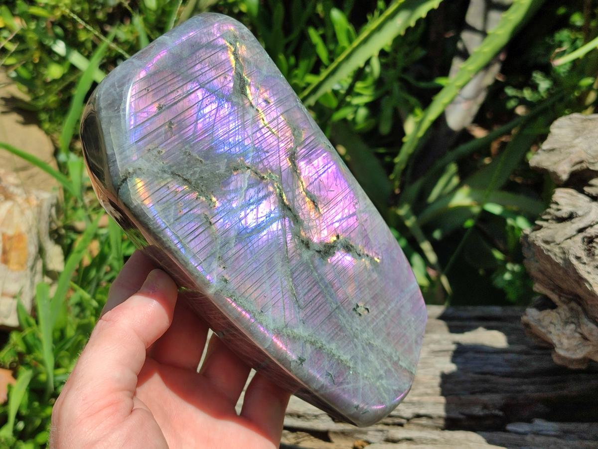 Polished Large Rare Purple Sunset Flash Labradorite Standing Free Form x 1 From Madagascar