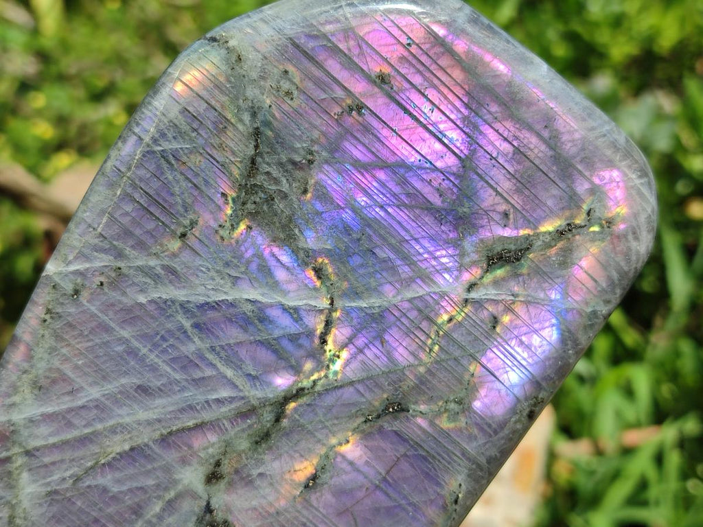 Polished Large Rare Purple Sunset Flash Labradorite Standing Free Form x 1 From Madagascar