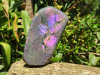 Polished Large Rare Purple Sunset Flash Labradorite Standing Free Form x 1 From Madagascar