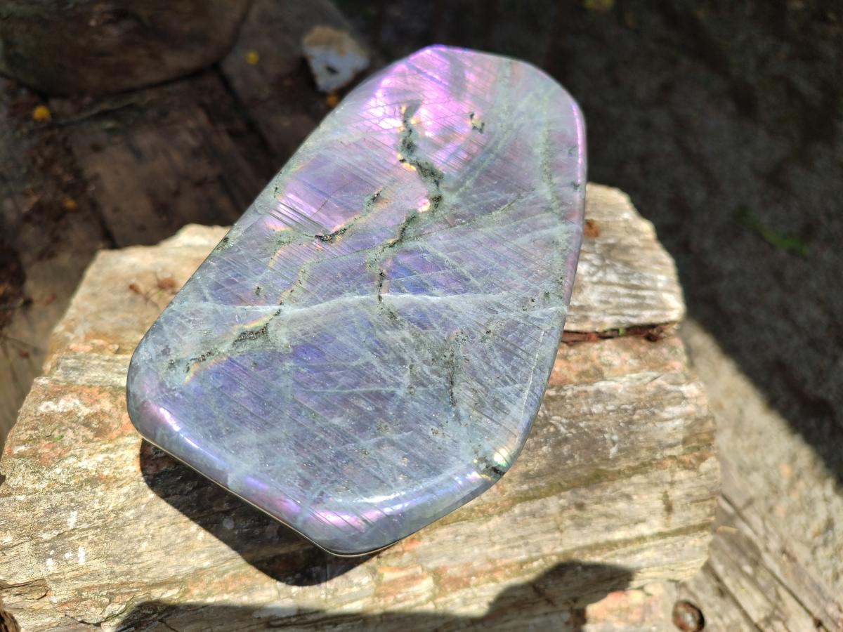 Polished Large Rare Purple Sunset Flash Labradorite Standing Free Form x 1 From Madagascar