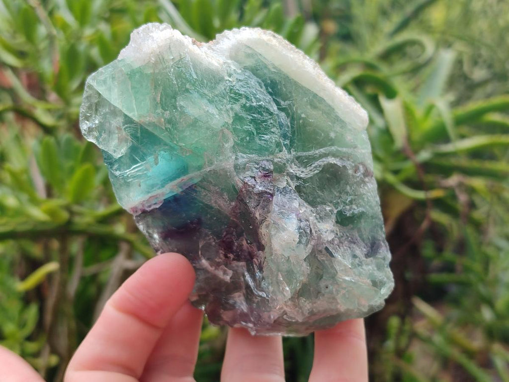 Natural Watermelon Fluorite Cobbed Specimens x 7 From Uis, Namibia