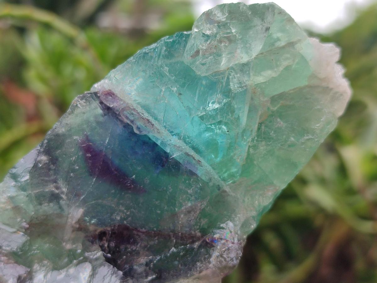 Natural Watermelon Fluorite Cobbed Specimens x 7 From Uis, Namibia