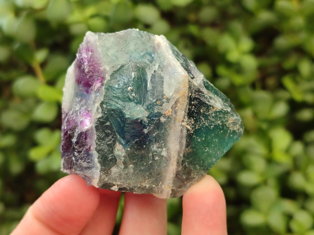 Natural Watermelon Fluorite Cobbed Specimens x 7 From Uis, Namibia