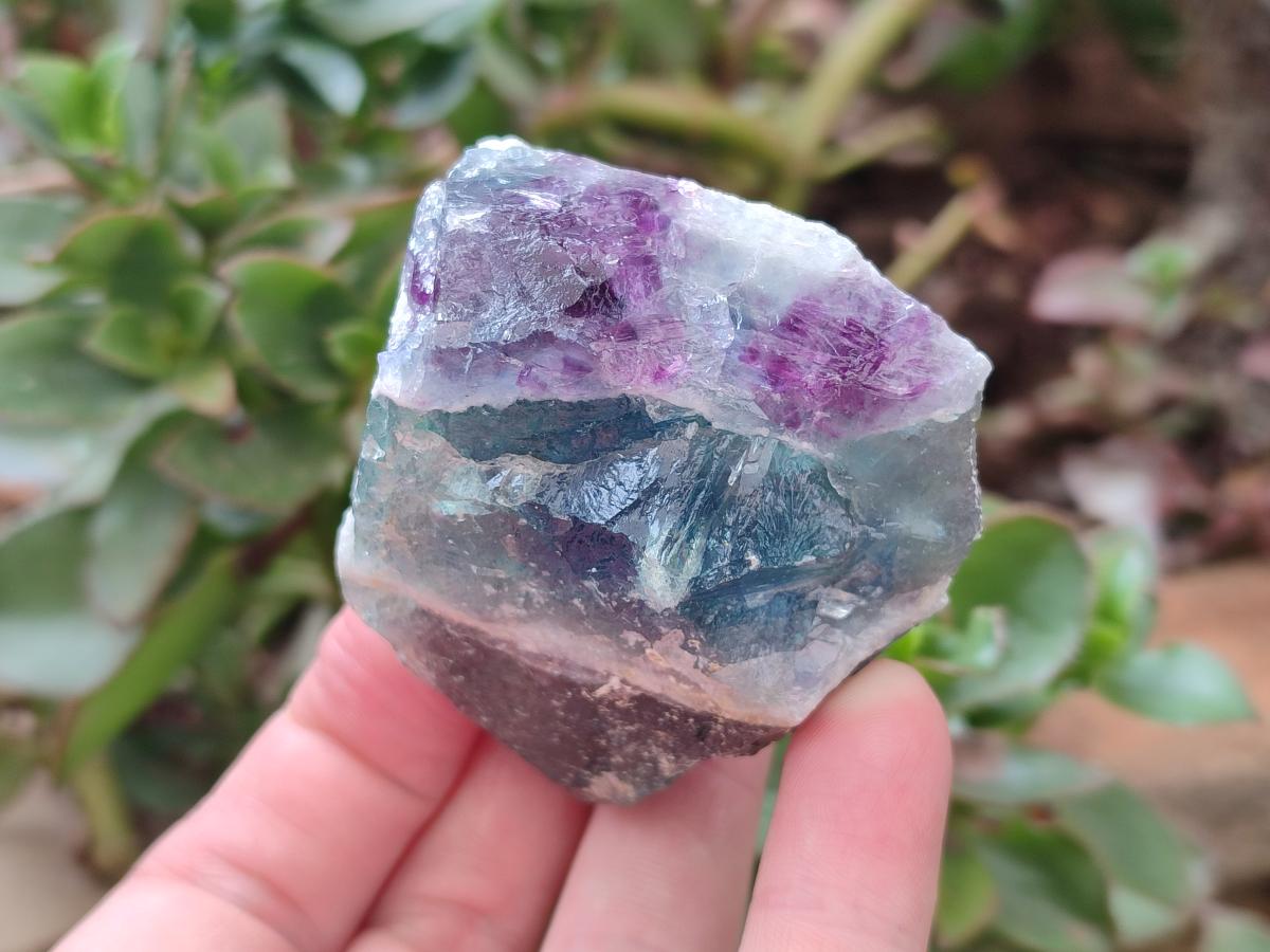 Natural Watermelon Fluorite Cobbed Specimens x 7 From Uis, Namibia