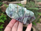 Natural Watermelon Fluorite Cobbed Specimens x 7 From Uis, Namibia