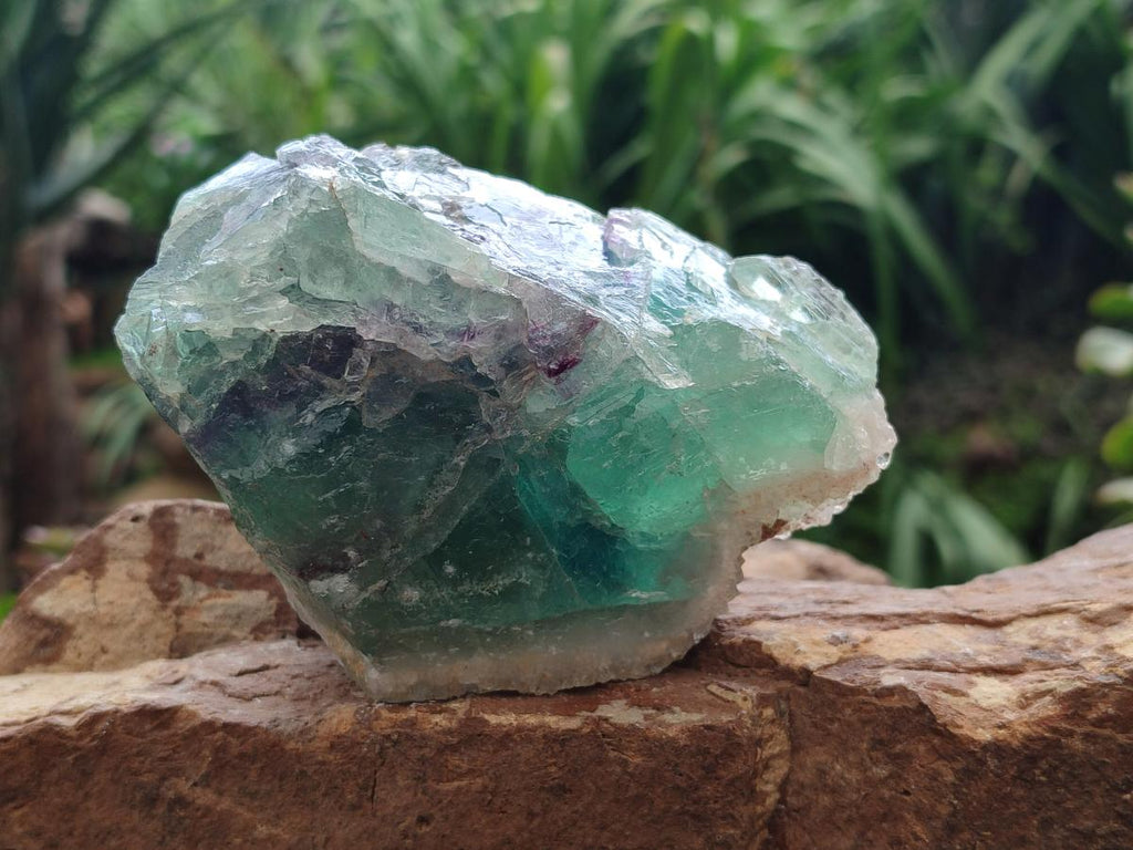 Natural Watermelon Fluorite Cobbed Specimens x 7 From Uis, Namibia