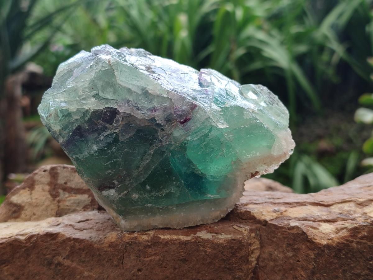 Natural Watermelon Fluorite Cobbed Specimens x 7 From Uis, Namibia