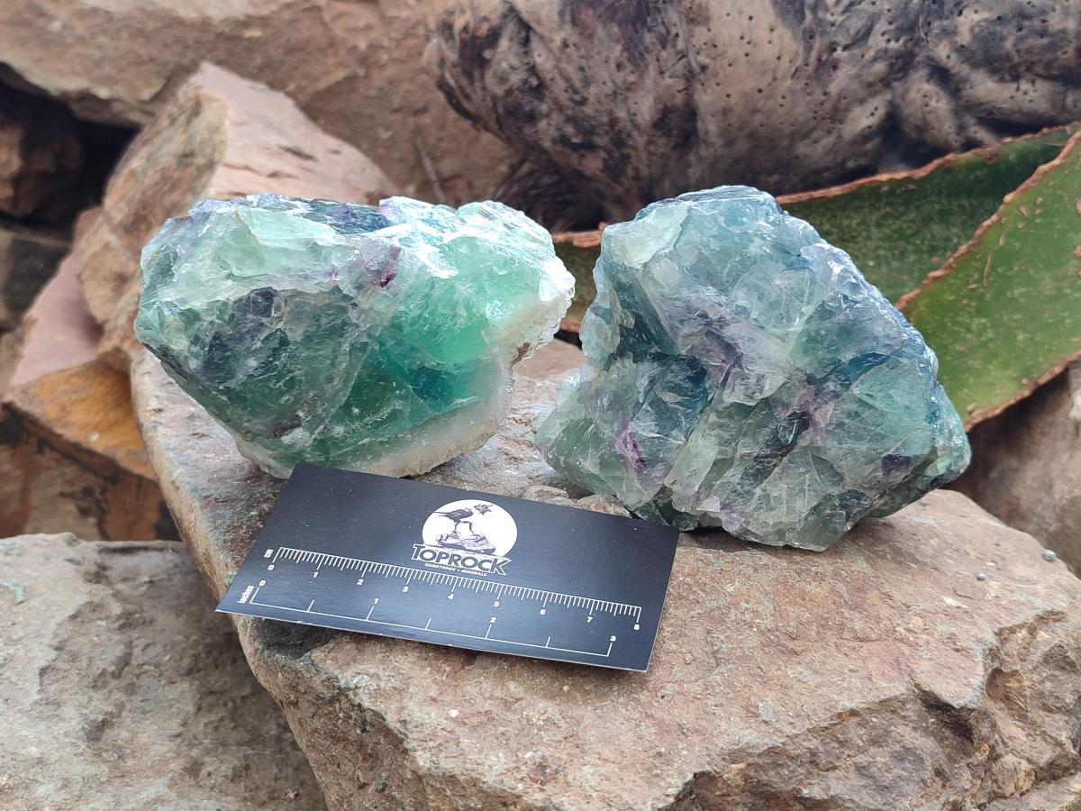 Natural Watermelon Fluorite Cobbed Specimens x 7 From Uis, Namibia