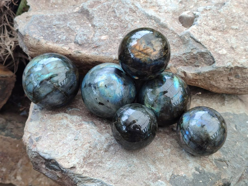 Polished Labradorite Spheres x 6 From Madagascar