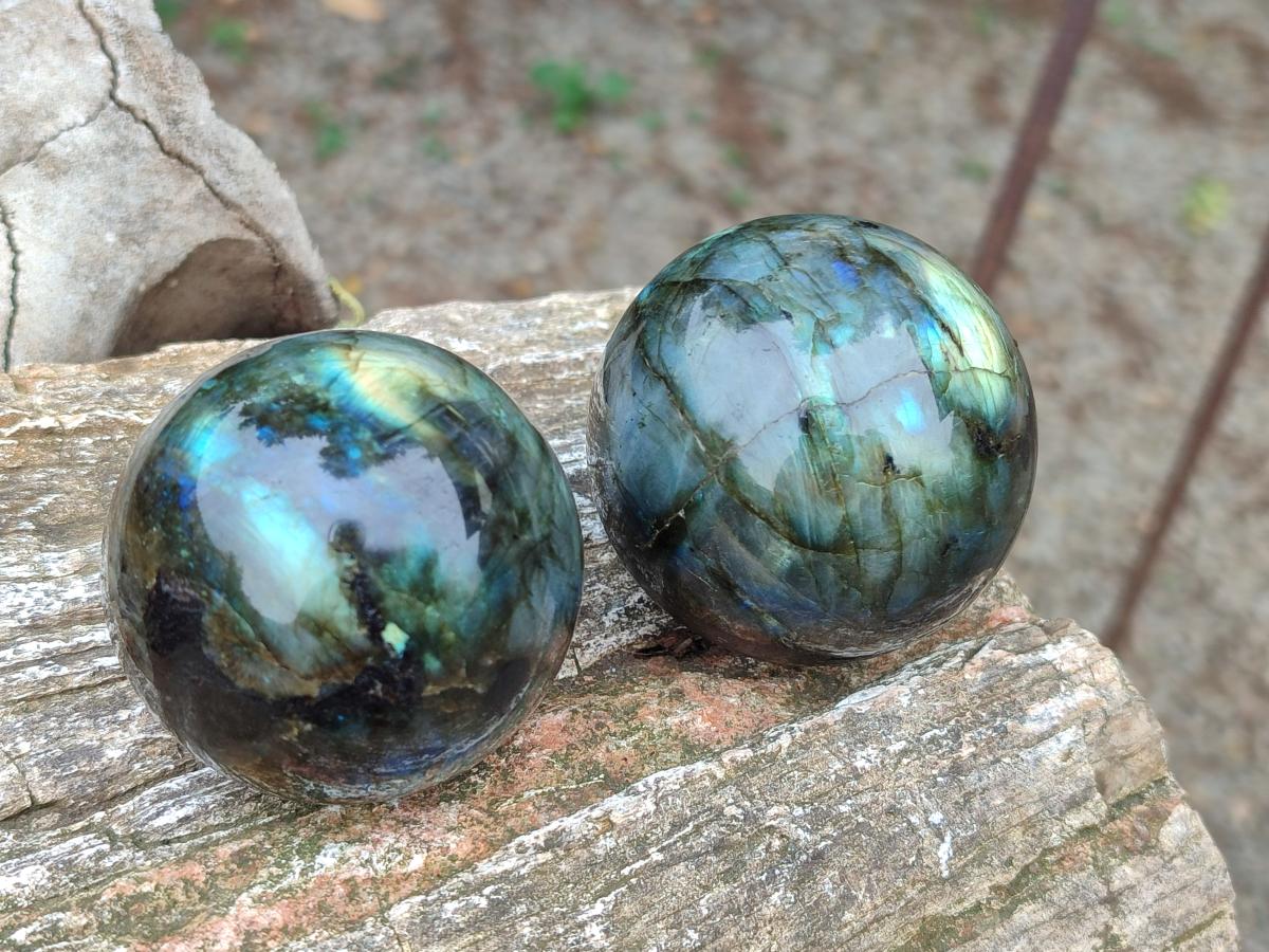 Polished Labradorite Spheres x 6 From Madagascar