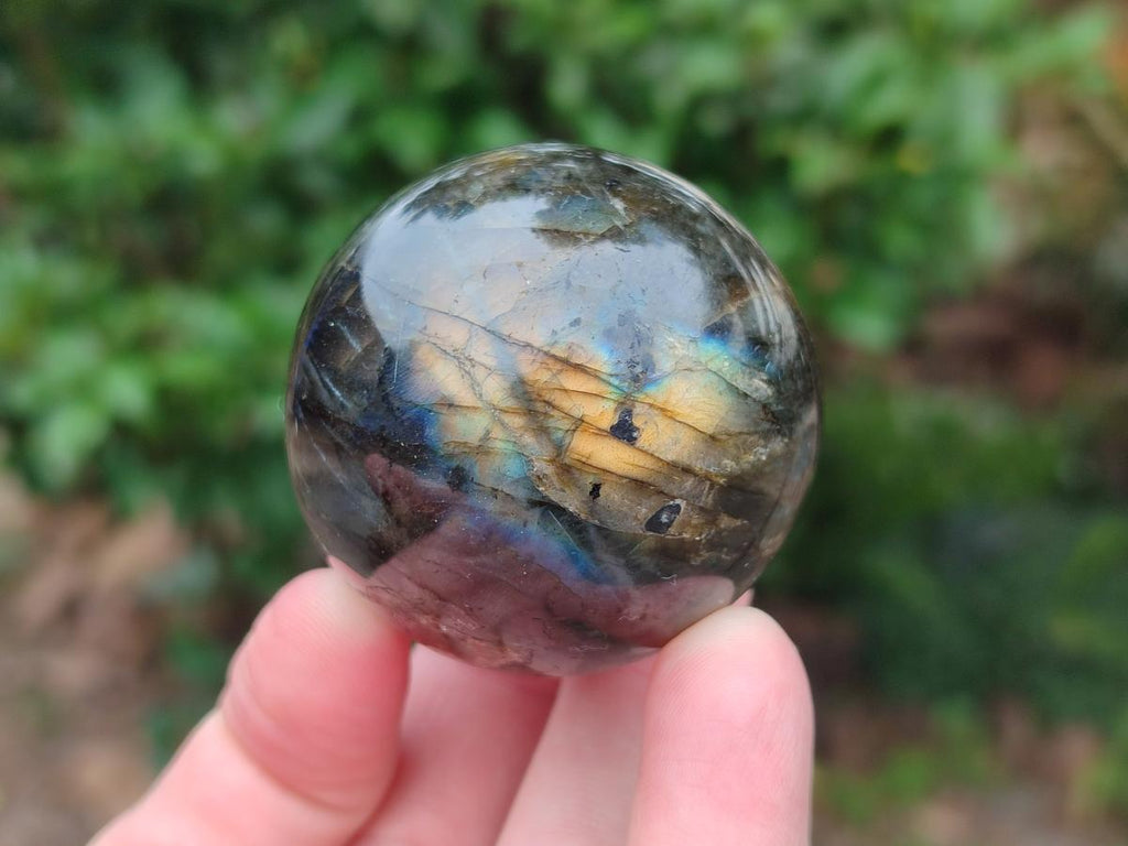 Polished Labradorite Spheres x 6 From Madagascar