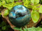 Polished Labradorite Spheres x 6 From Madagascar