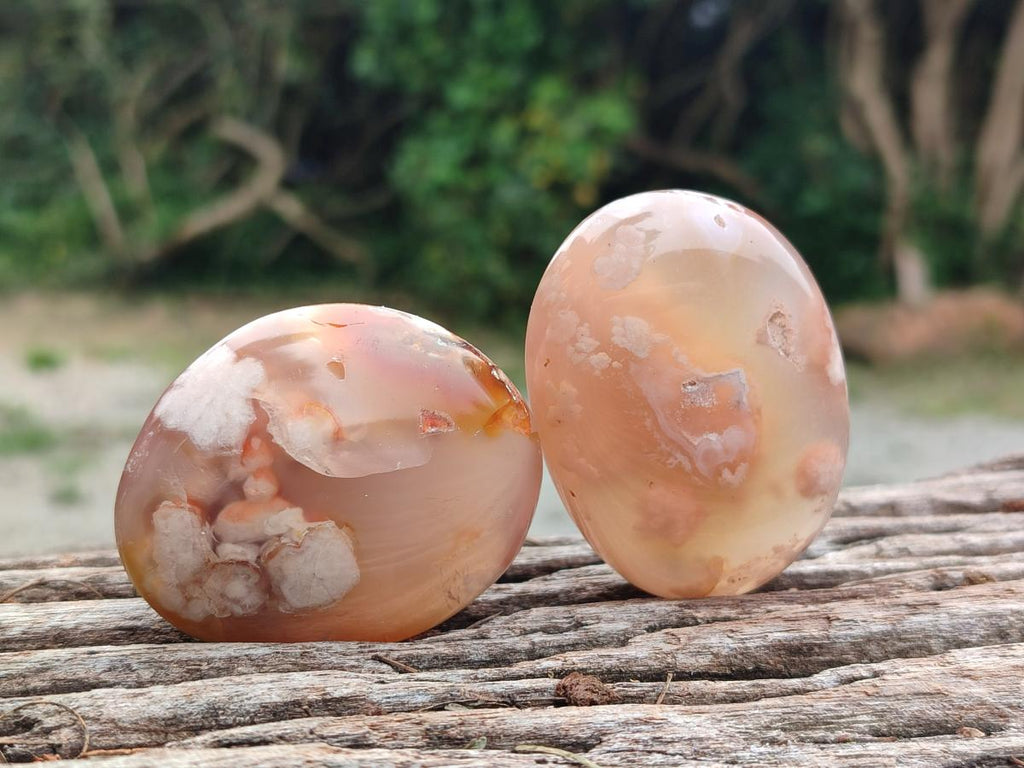 Polished Flower Agate Palm Stone x 20 From Antsahalova, Madagascar