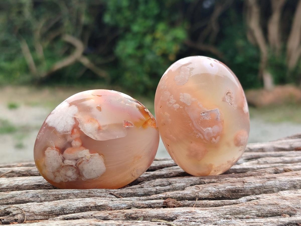 Polished Flower Agate Palm Stone x 20 From Antsahalova, Madagascar