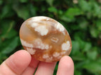 Polished Flower Agate Palm Stone x 20 From Antsahalova, Madagascar