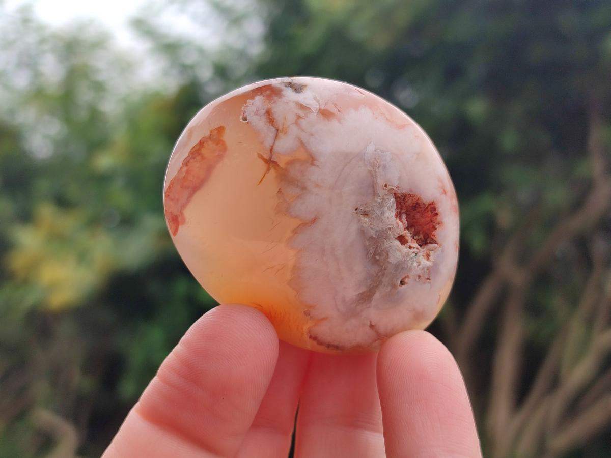 Polished Flower Agate Palm Stone x 20 From Antsahalova, Madagascar