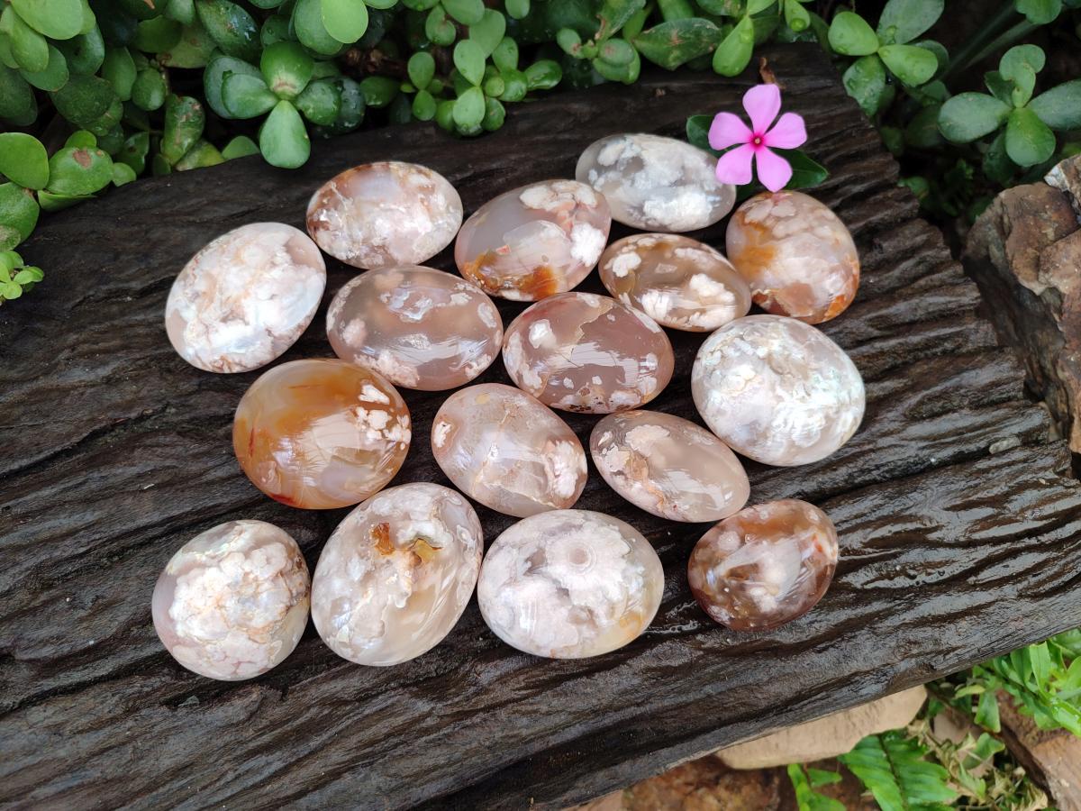Polished Flower Agate Palm Stone x 20 From Antsahalova, Madagascar