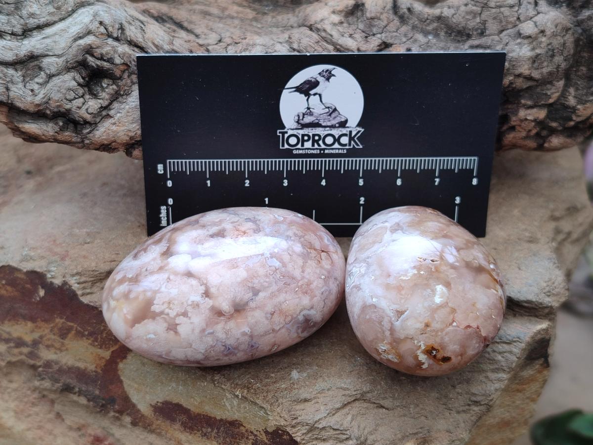 Polished Flower Agate Palm Stone x 20 From Antsahalova, Madagascar