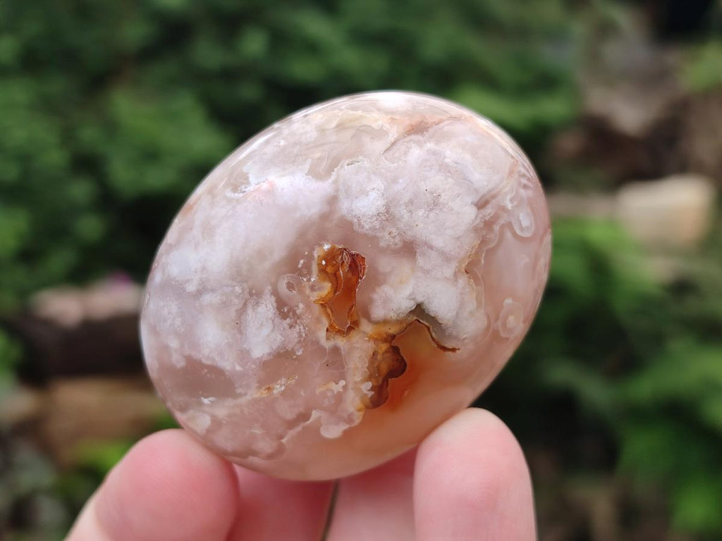 Polished Flower Agate Palm Stone x 20 From Antsahalova, Madagascar
