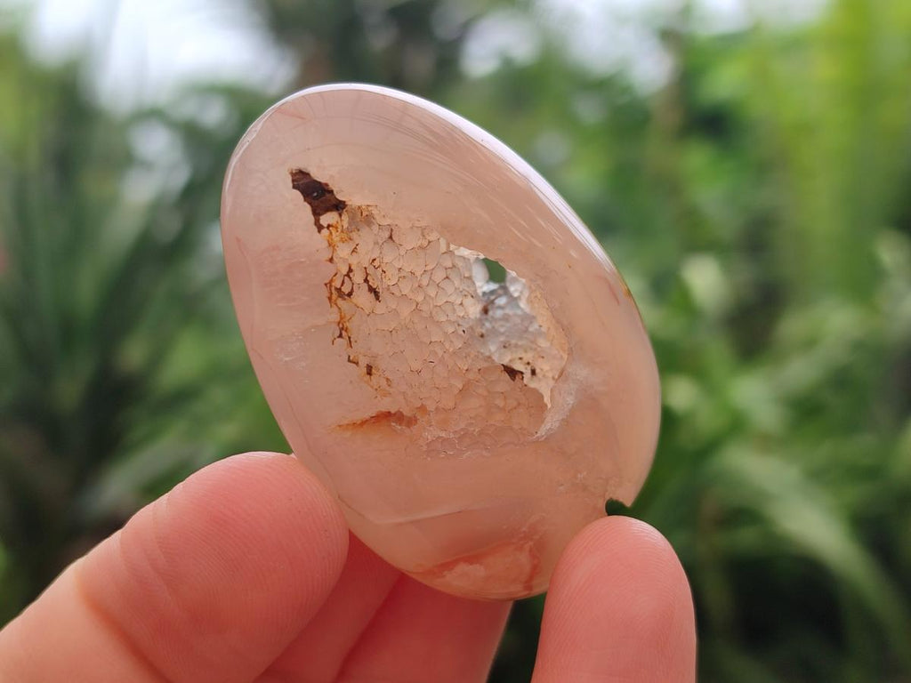 Polished Flower Agate Palm Stone x 20 From Antsahalova, Madagascar