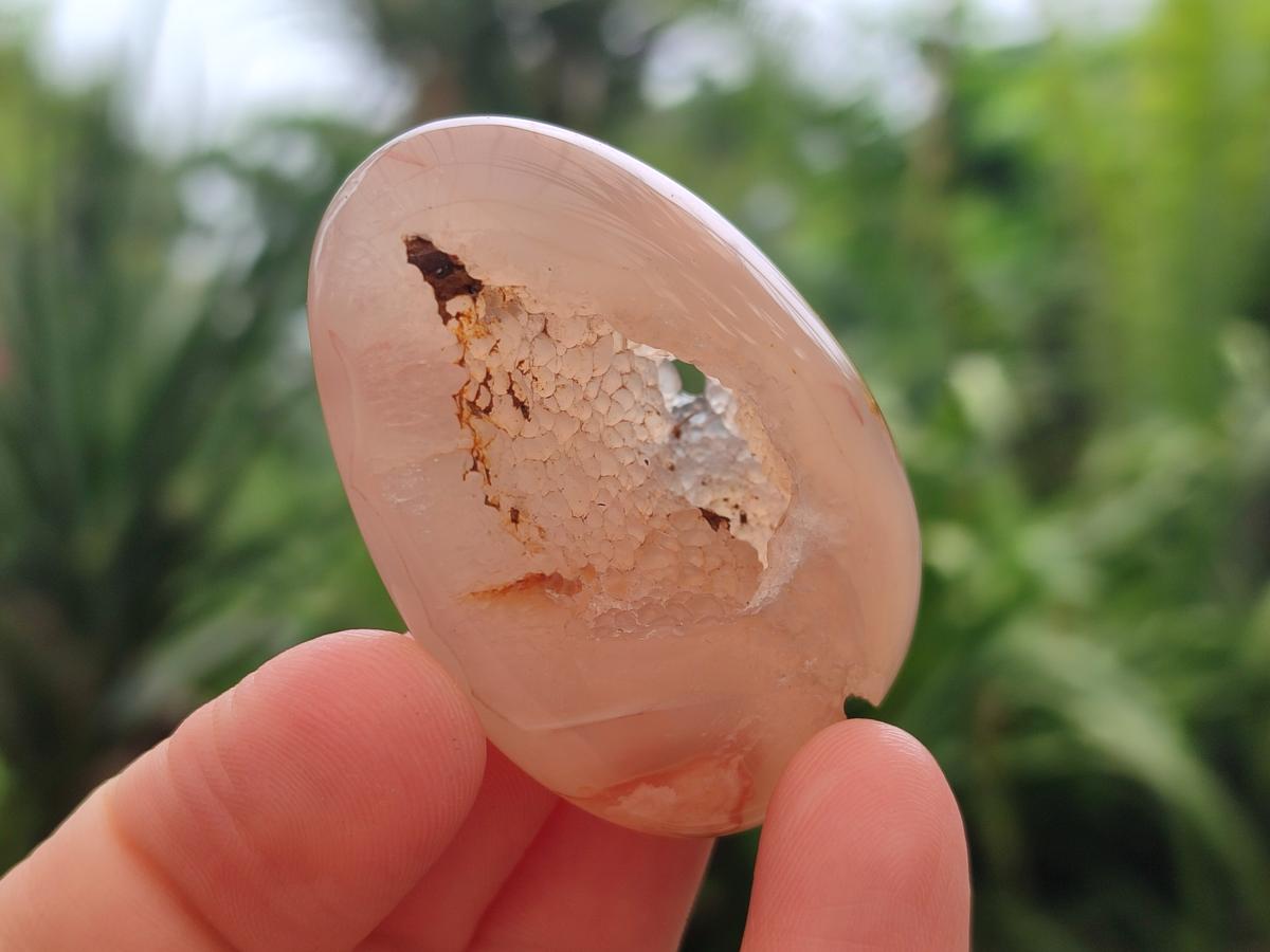 Polished Flower Agate Palm Stone x 20 From Antsahalova, Madagascar