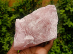 Natural Cobbed Rose Quartz Specimens x 5 From Northern Cape, South Africa