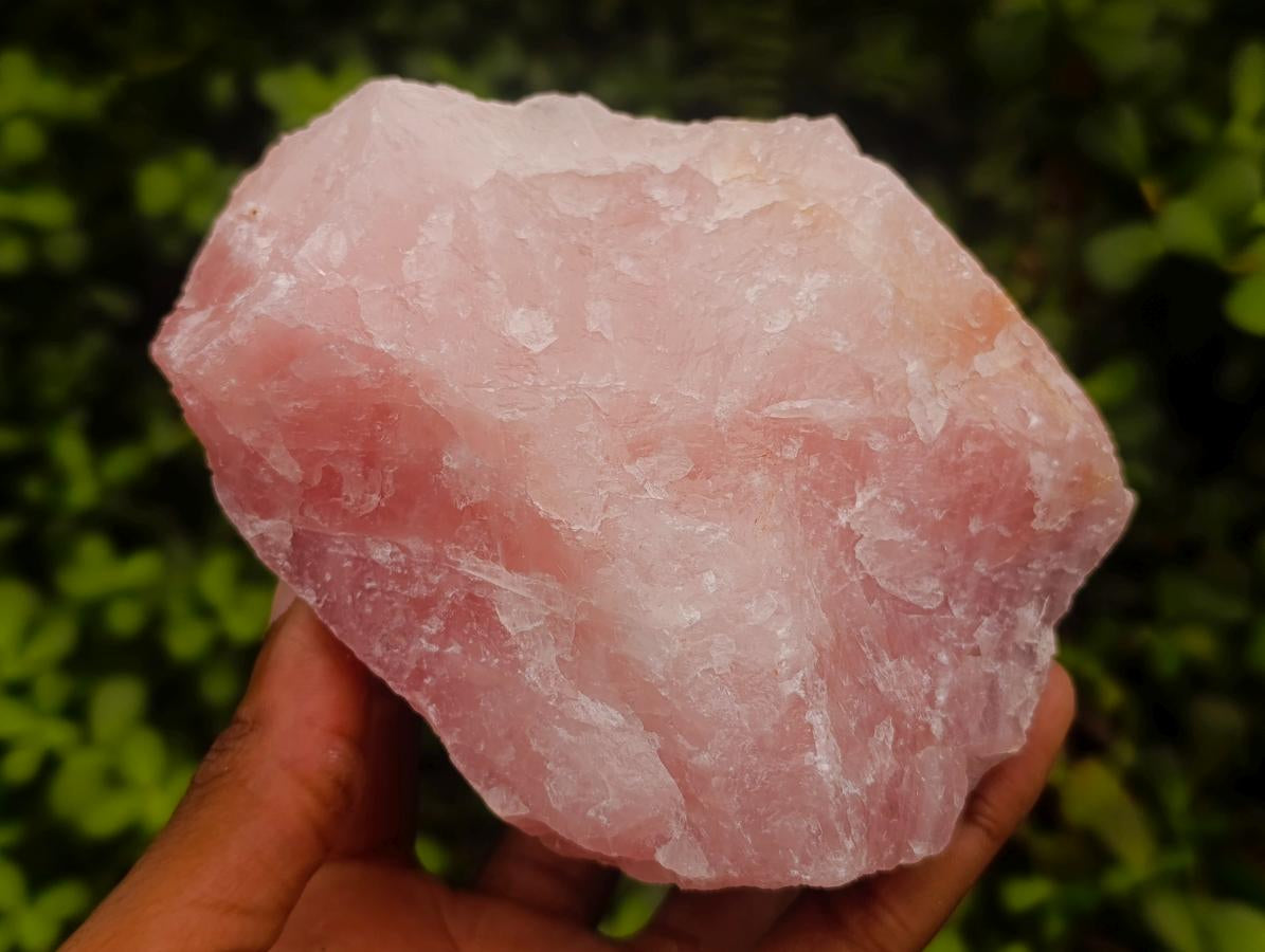 Natural Cobbed Rose Quartz Specimens x 5 From Northern Cape, South Africa