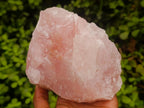 Natural Cobbed Rose Quartz Specimens x 5 From Northern Cape, South Africa