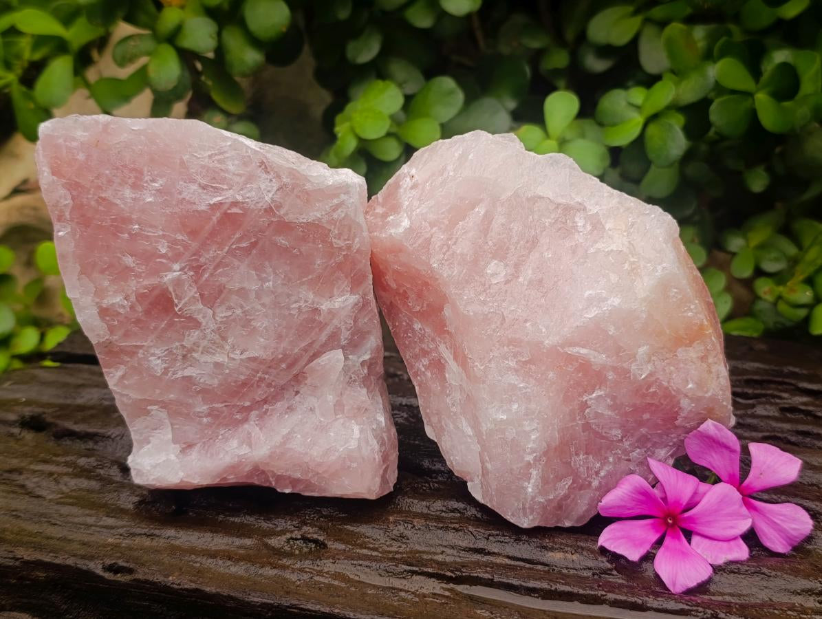 Natural Cobbed Rose Quartz Specimens x 5 From Northern Cape, South Africa