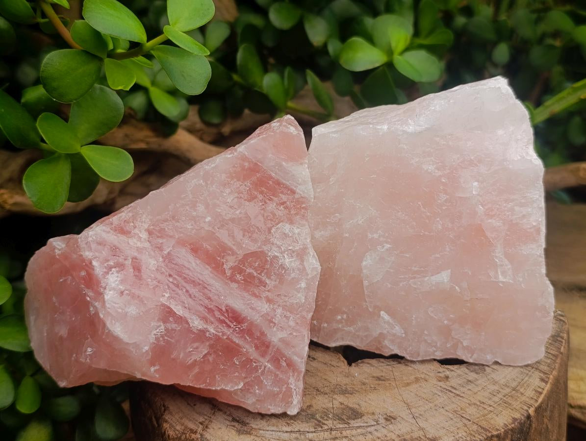 Natural Cobbed Rose Quartz Specimens x 5 From Northern Cape, South Africa