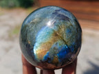Polished Labradorite Spheres x 3 From Madagascar