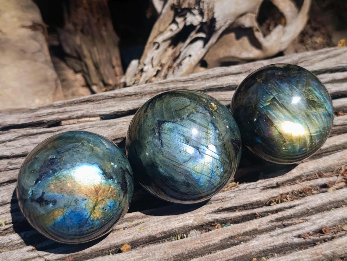 Polished Labradorite Spheres x 3 From Madagascar