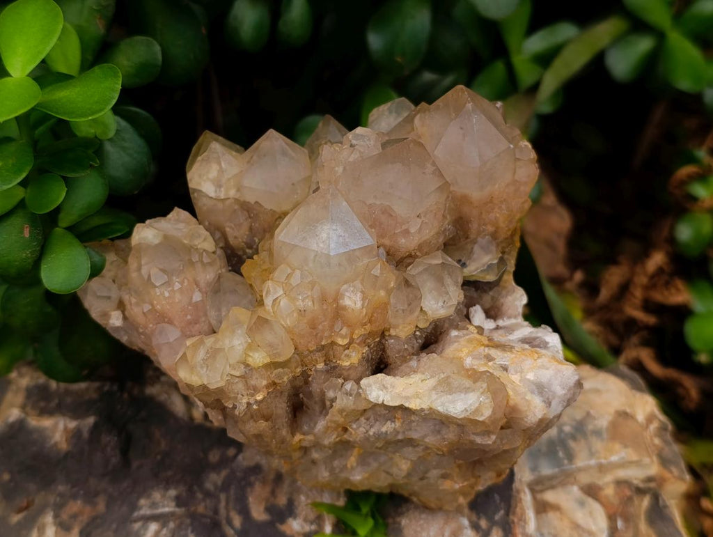 Natural White Phantom Cascading Smokey Luena Quartz Clusters x 2 From Luena, Congo
